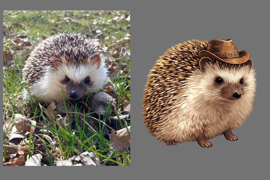 Screenshot of the Edit Asset workflow.